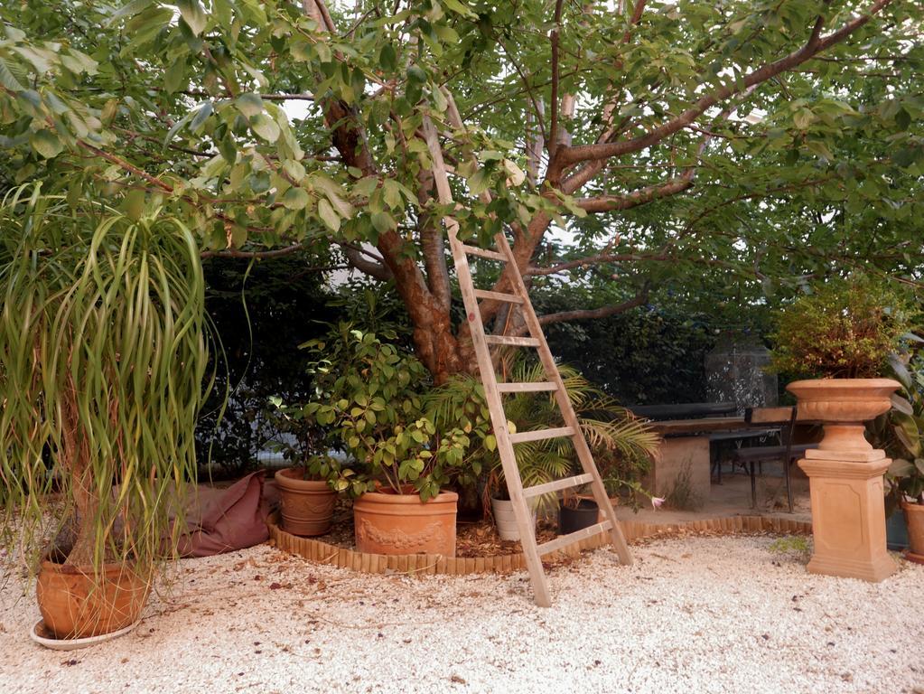 Hotel Vieux Port Panier Jardin Marsiglia Esterno foto