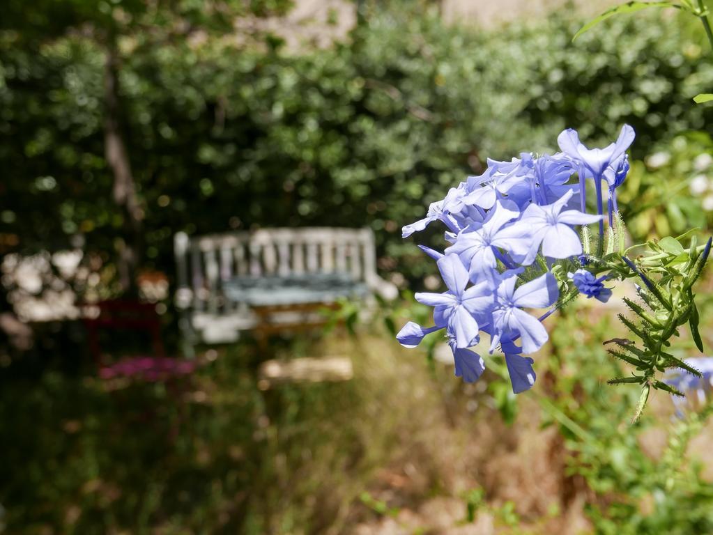 Hotel Vieux Port Panier Jardin Marsiglia Esterno foto
