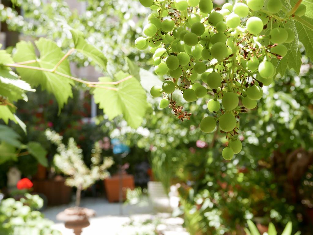 Hotel Vieux Port Panier Jardin Marsiglia Esterno foto